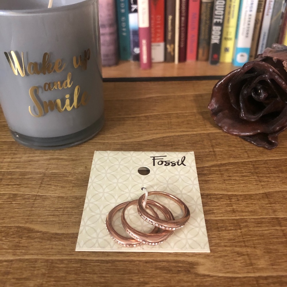 Set of Three Fossil Rings